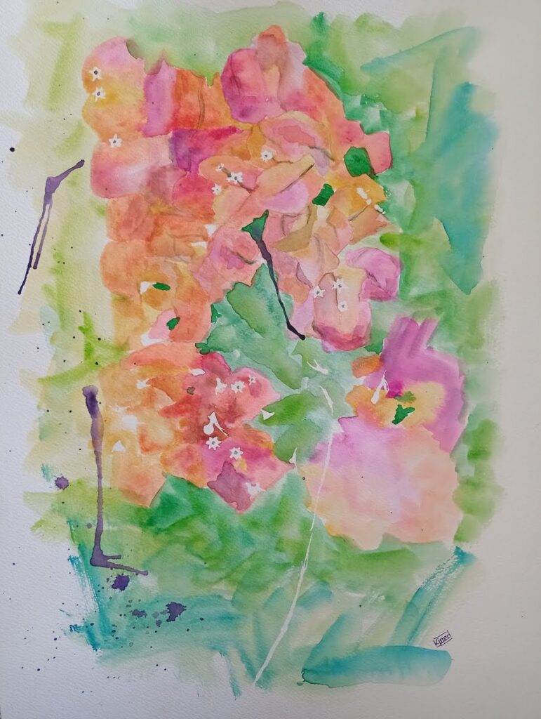 bouginvillea
