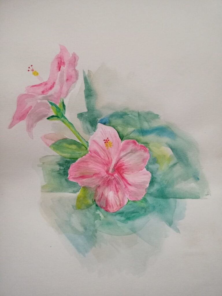 hibiscus-1